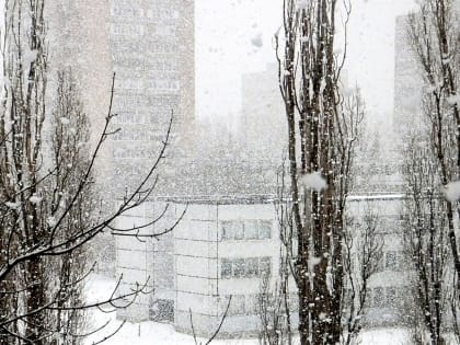 В атлантическом вихре закружимся. В регионе снова ожидаются снег и мороз