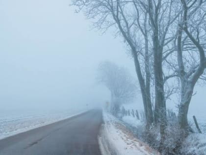 В Самарской области из-за тумана объявлен желтый уровень погодной опасности