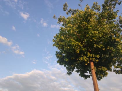 В Самарской области побит экстремальный температурный рекорд 1930 года