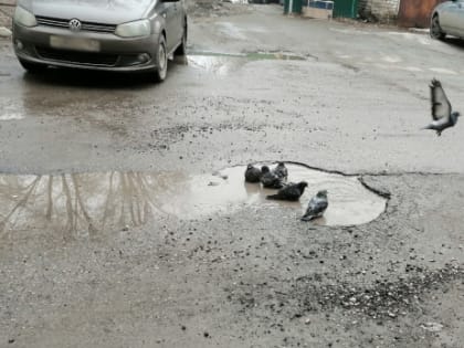 Водители уперлись и отсудили у Сызрани почти триста тысяч рублей