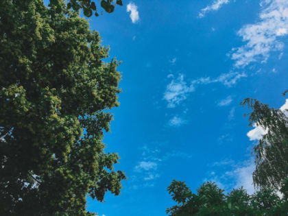 Народные приметы на 20 июля: как в этот день набраться сил на целый год и почему нельзя давать денег в долг