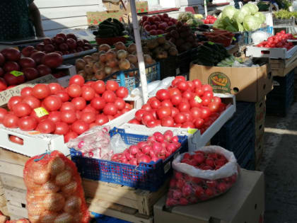 На городских рынках втрое рухнули цены на знаменитые сызранские помидоры