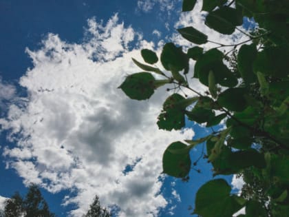 Народные приметы на 26 июля: кого в Гаврилов день ждет прямой путь к нищете и о чем лучше помалкивать