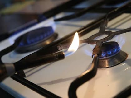 ФАС предложила увеличить тарифы на газ в России на 8,5% с 1 декабря