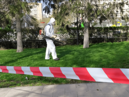 За неделю от укусов клещей в Самарской области пострадало 116 человек