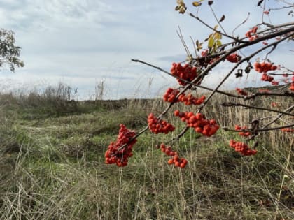Осенняя жара: самарские синоптики дали свой прогноз на выходные