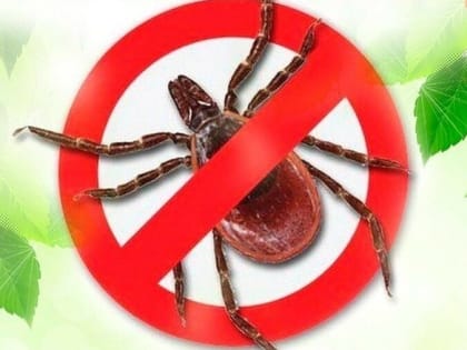 КЛЕЩЕВОЙ ВИРУСНЫЙ ЭНЦЕФАЛИТ И МЕРЫ ЕГО ПРОФИЛАКТИКИ