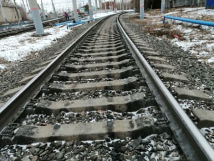 В схватке с РЖД за новый мост у Сызрани неожиданно объявился мощный союзник