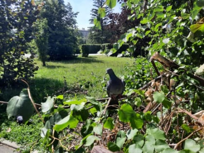 Народные приметы на 23 июля: почему нельзя ходить в старой одежде и кому грозят большие проблемы со здоровьем