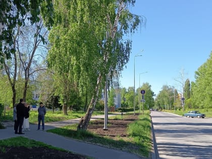 В Тольятти на бульваре Буденного установили современное освещение
