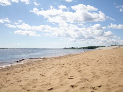 Волга закипает, рубеж пройден: вода в реке разогрелась до опасных значений