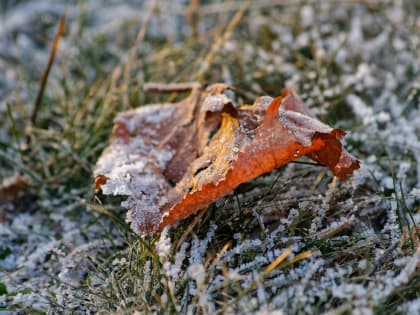 В Самарской области температура упадет до -2 градусов
