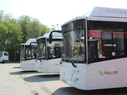 В Тольятти опубликовано расписание перевозок на дачи в сентябре