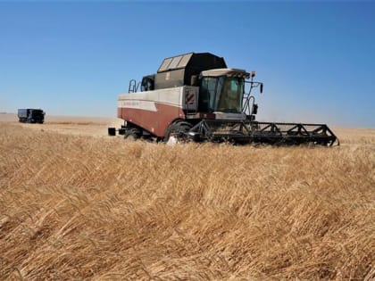 «Достойный результат»: Дмитрий Азаров поблагодарил аграриев региона за рекордный урожай зерновых