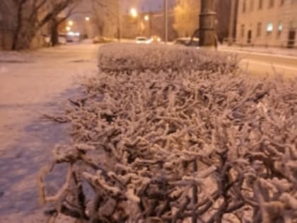 Мониторинг качества атмосферного воздуха