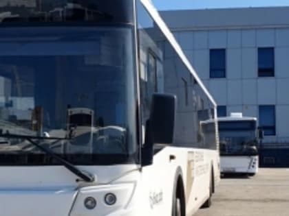 В Тольятти выберут самых вежливых водителей и кондукторов муниципальных автобусов