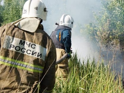 В Тольятти ограничили пребывание граждан на территории лесов