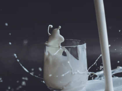 Почему с наступлением тепла свежее молоко может превратиться в смертельный напиток