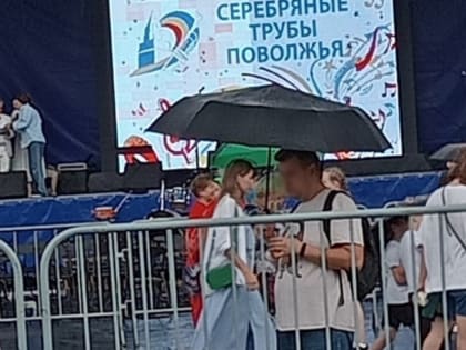 Власти Сызрани потребовали объяснений по запоздалому прогнозу о праздничном шторме