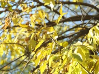 Законодательные новшества, вступающие в силу с октября