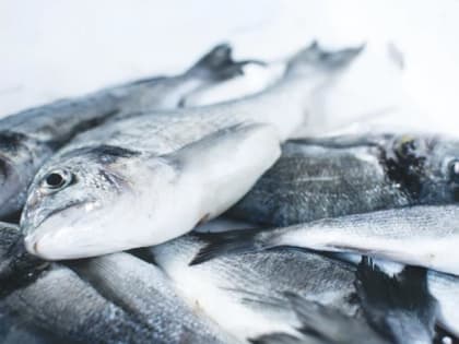 В Роспотребнадзоре рассказали правила приготовления рыбы