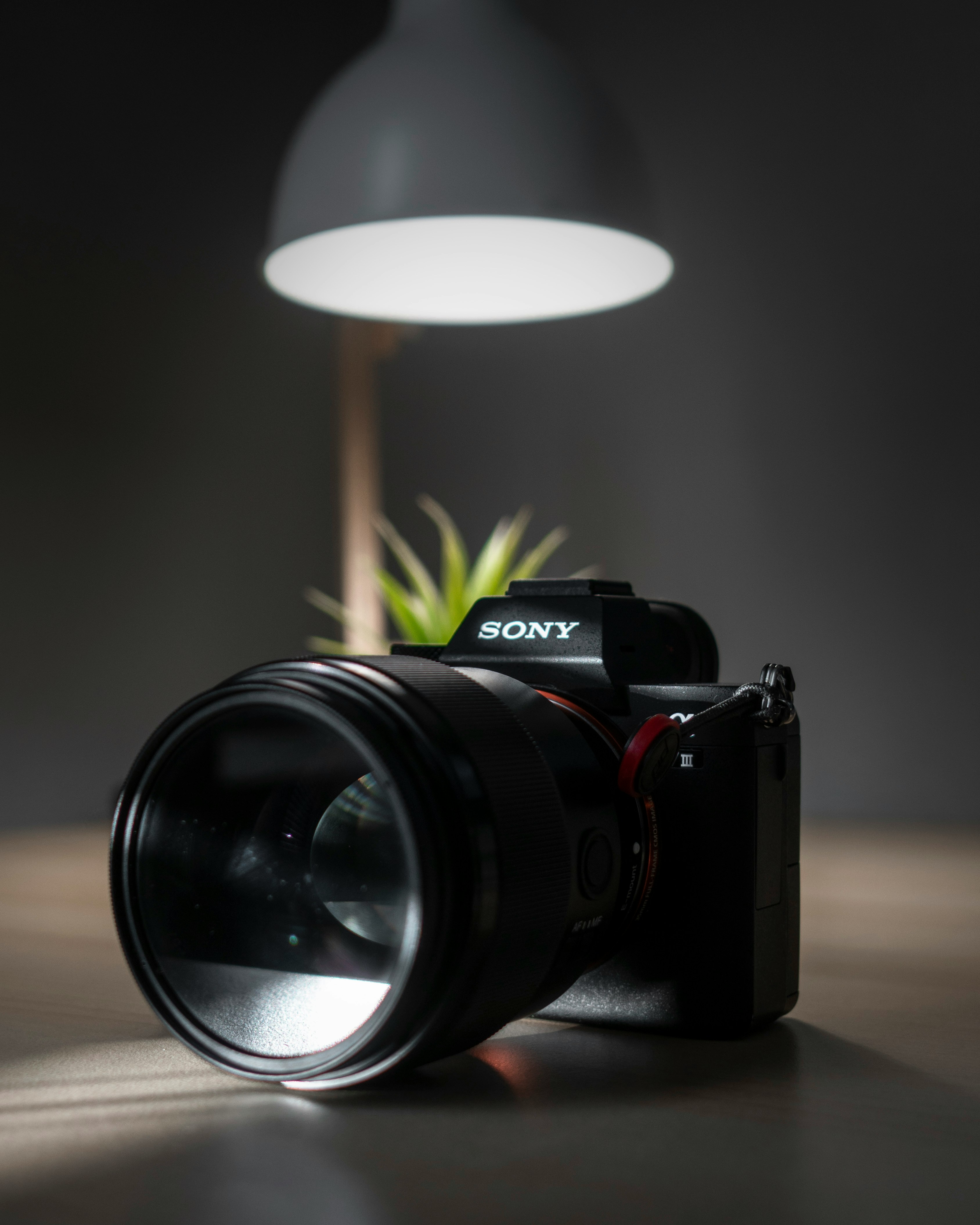 Máy ảnh Sony A7III chuyên nghiệp