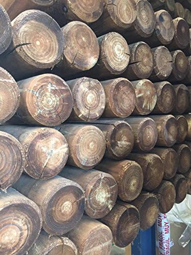 Vue 6 de Balancoire Double Masgames Kibo