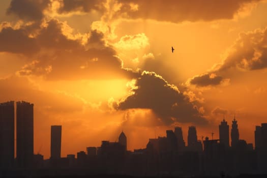 Dubai photo 1