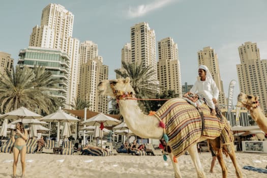 Dubai photo 3
