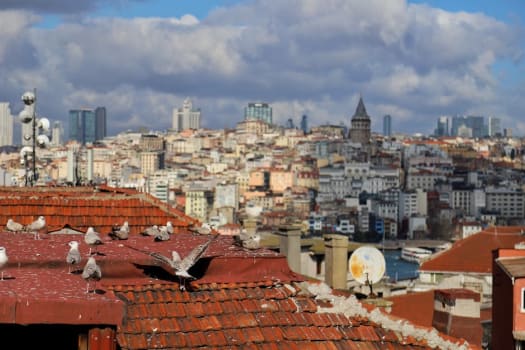 Istanbul photo 1