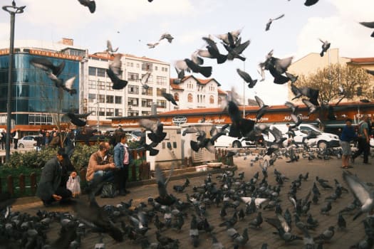 Istanbul photo 1
