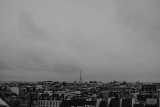 Paris photo 3