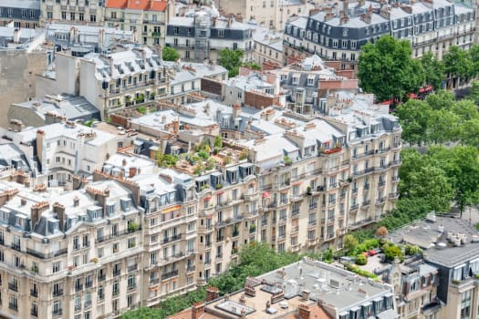 Paris photo 4