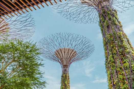 Singapore photo 4