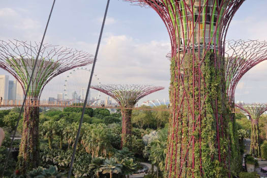 Singapore photo 4