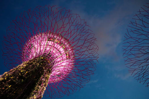 Singapore photo 2