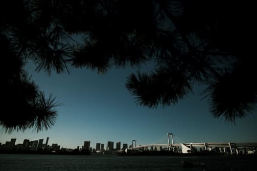 Tokyo photo 4