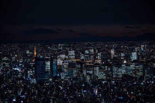Tokyo photo 1