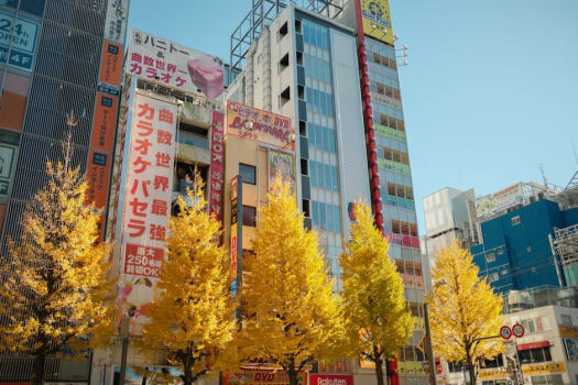 Tokyo photo 2
