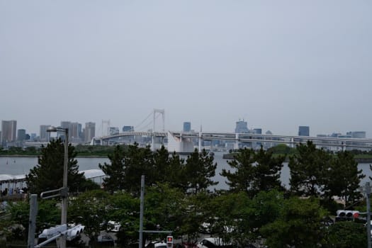 Tokyo photo 3