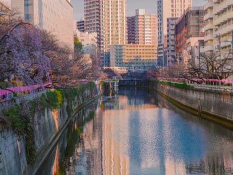 Tokyo photo 1