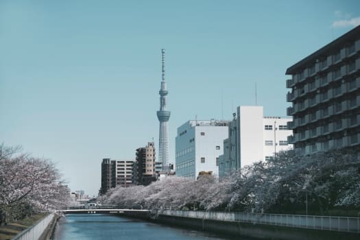 Tokyo photo 1