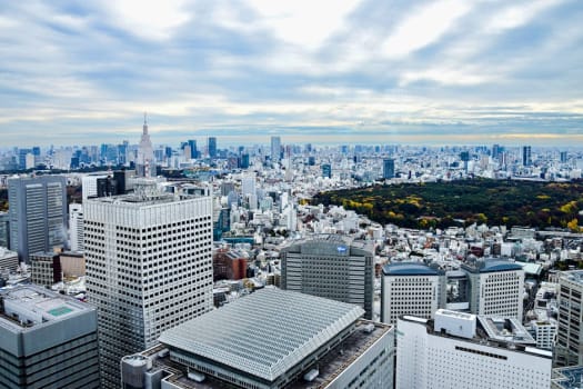 Tokyo photo 4