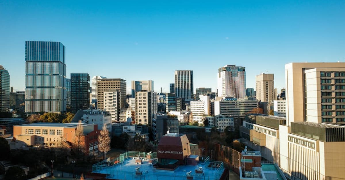 Tokyo Travel Guide for Indians
