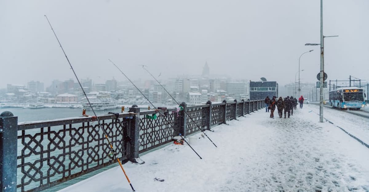 Weather-Wise Activity Guide