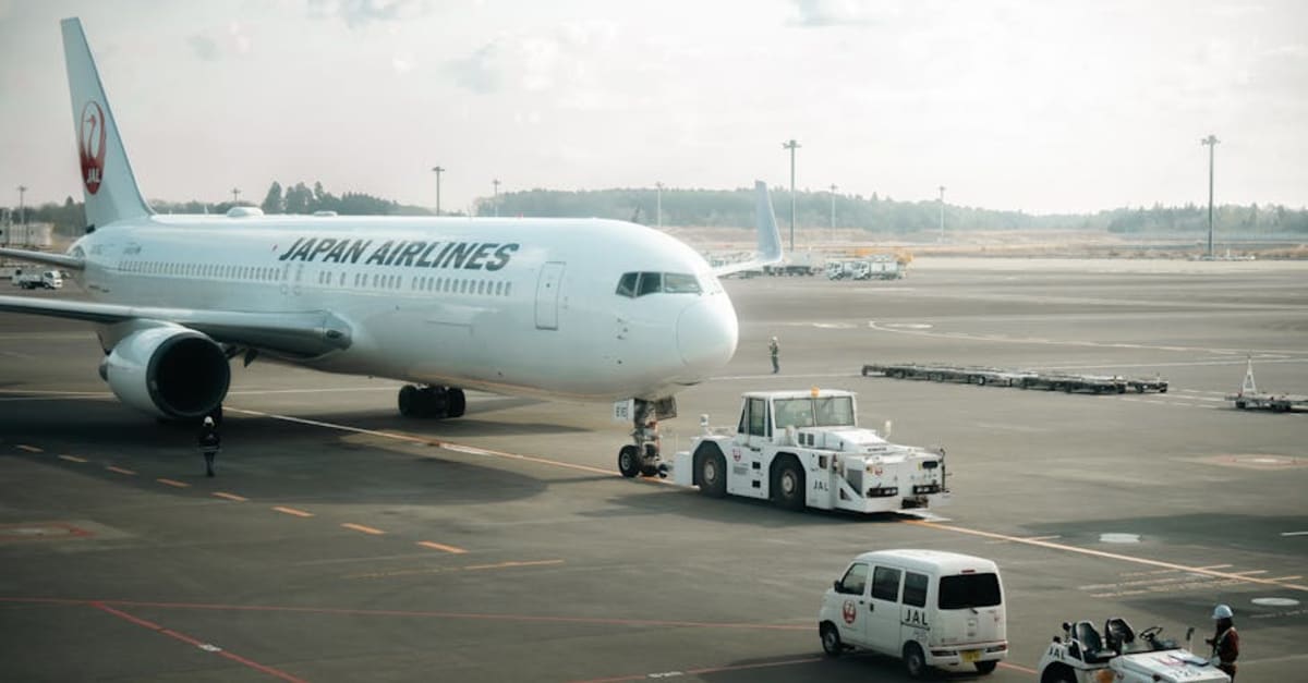 Tokyo Airport Arrival Guide