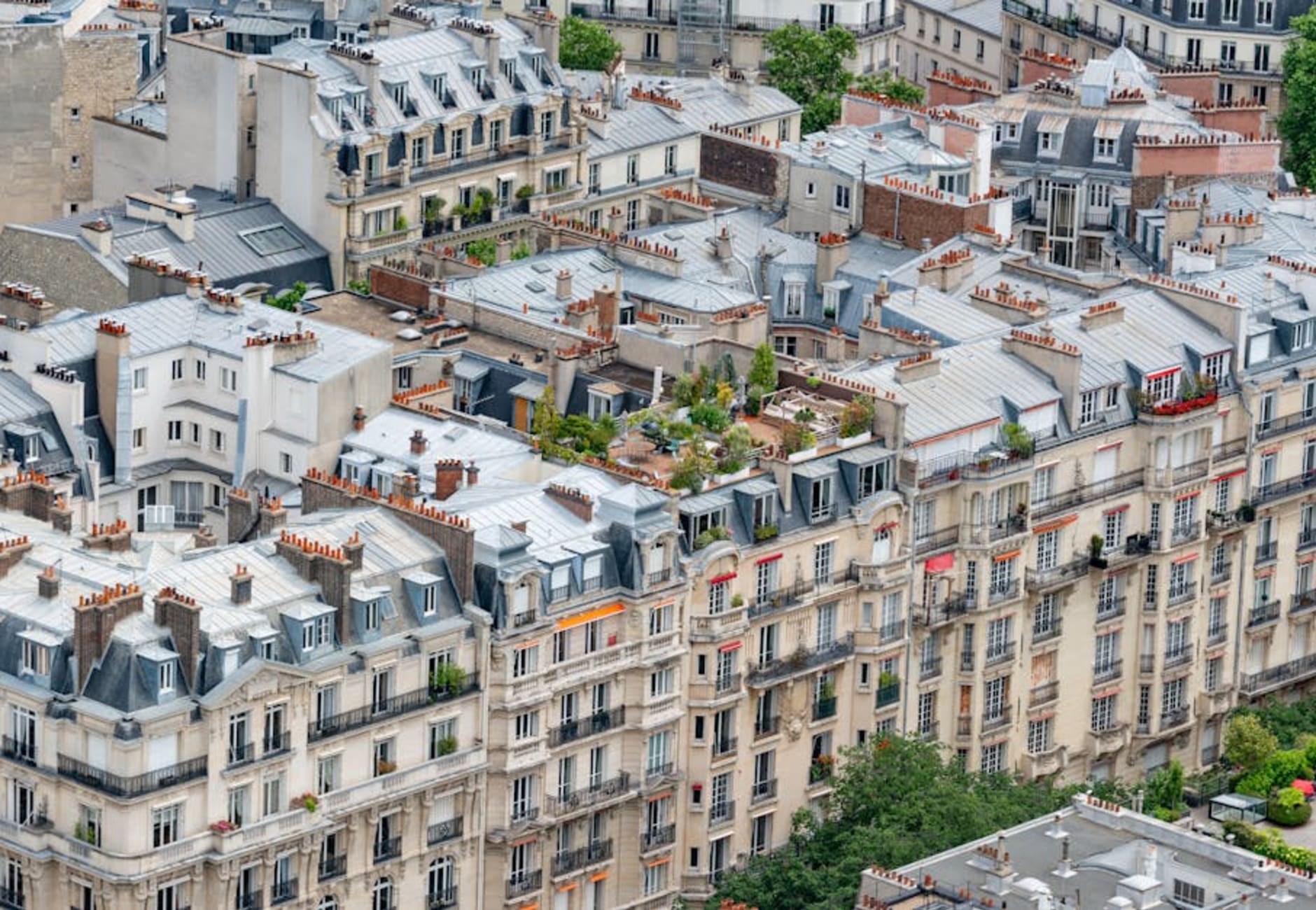 Paris - Essentials