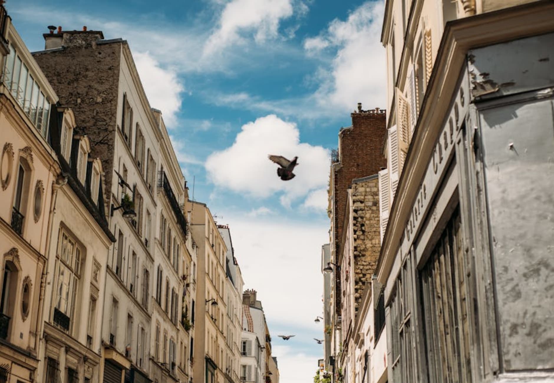 Paris - Shopping