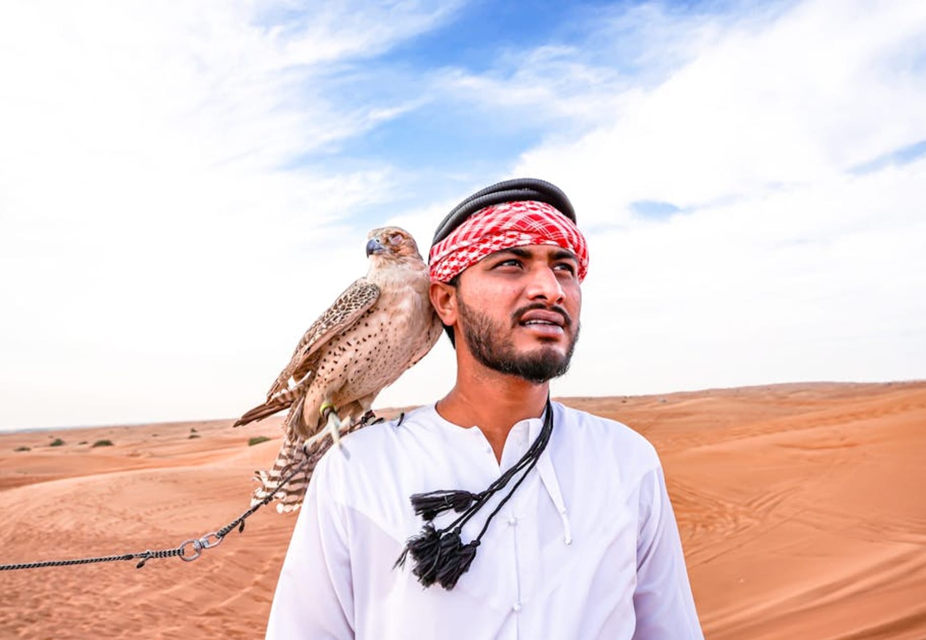 Dubai - Things to Do