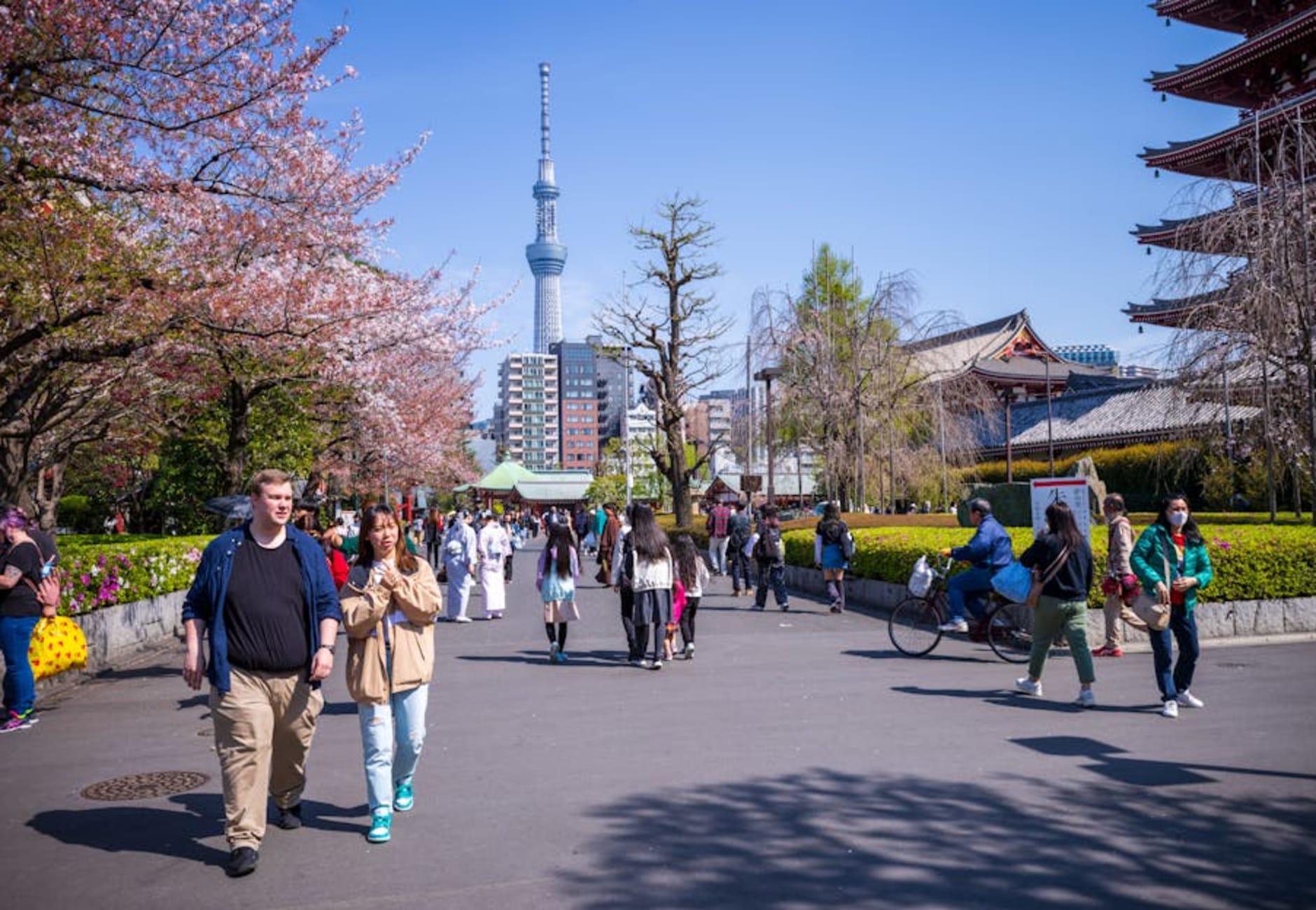 Tokyo - Comparisons